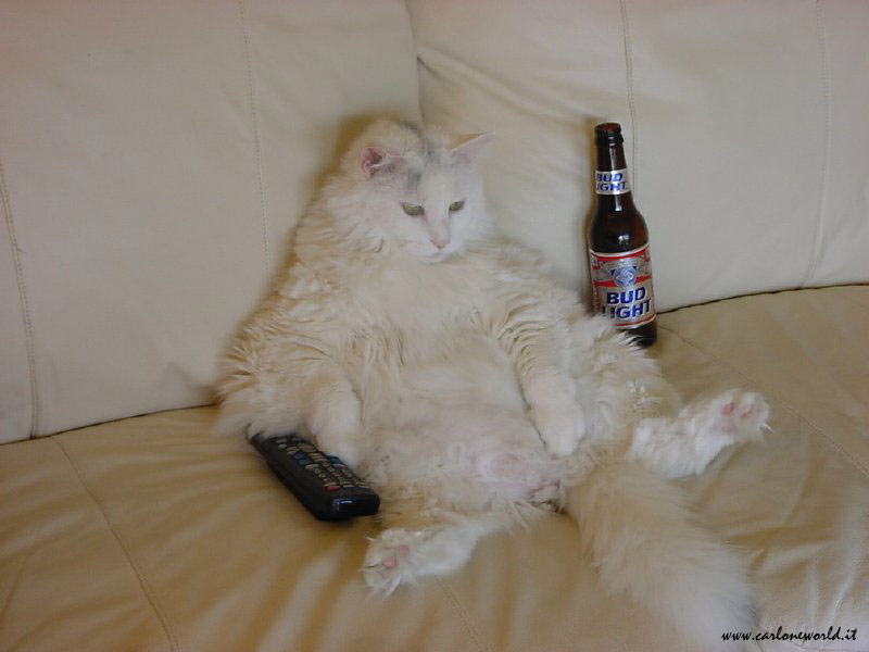 being-lazy being lazy can make it difficult for someone to change their ways