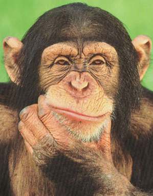 thinking-affects-behaviour thinking affects how we behave