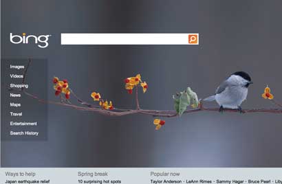 bing-search-front-page just a pretty face but how is their backend?