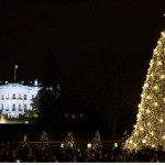 national-christmas-tree-date-night-washington