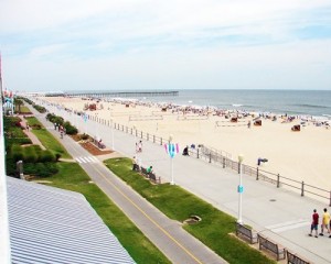 virginia-beach-boasts-animated-theme-displays-of-fishes