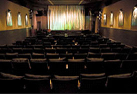 Bison Twin Theaters