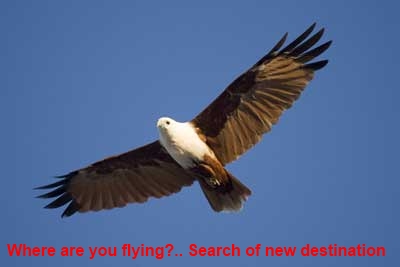 Free Online Dating