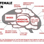 female-brain-jumpdates