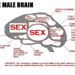 male-brain-jumpdates