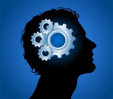 the-brain-is-nothing-like-you-know Brain has amazing feats of energy that you dont always understand