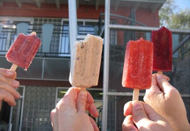 Las Paletas Gourmet Popsicles