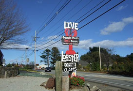 Beach Plum Lobster Farm