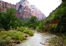 The Zion National Park, Springdale, UT