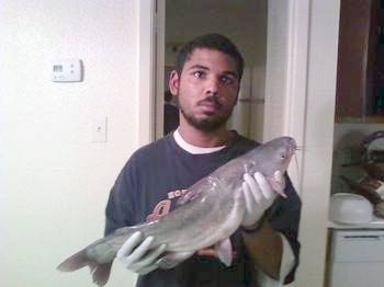free online dating