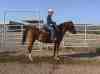bullridernm,matchmaking