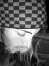 simpleman420,free dating service