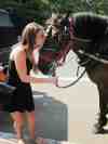 ebrandi,free online dating