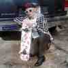 ncoleman1134,single men