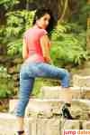 steccy27,free dating service